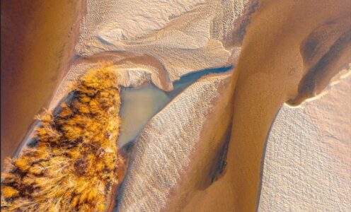 Analyse des pratiques professionnelles et Supervision