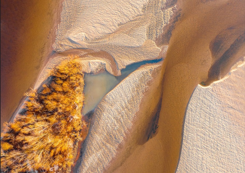 Véronique Bertino Cartigny 